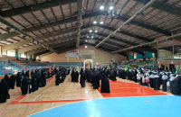 جشنواره شقایق های مقاوم 